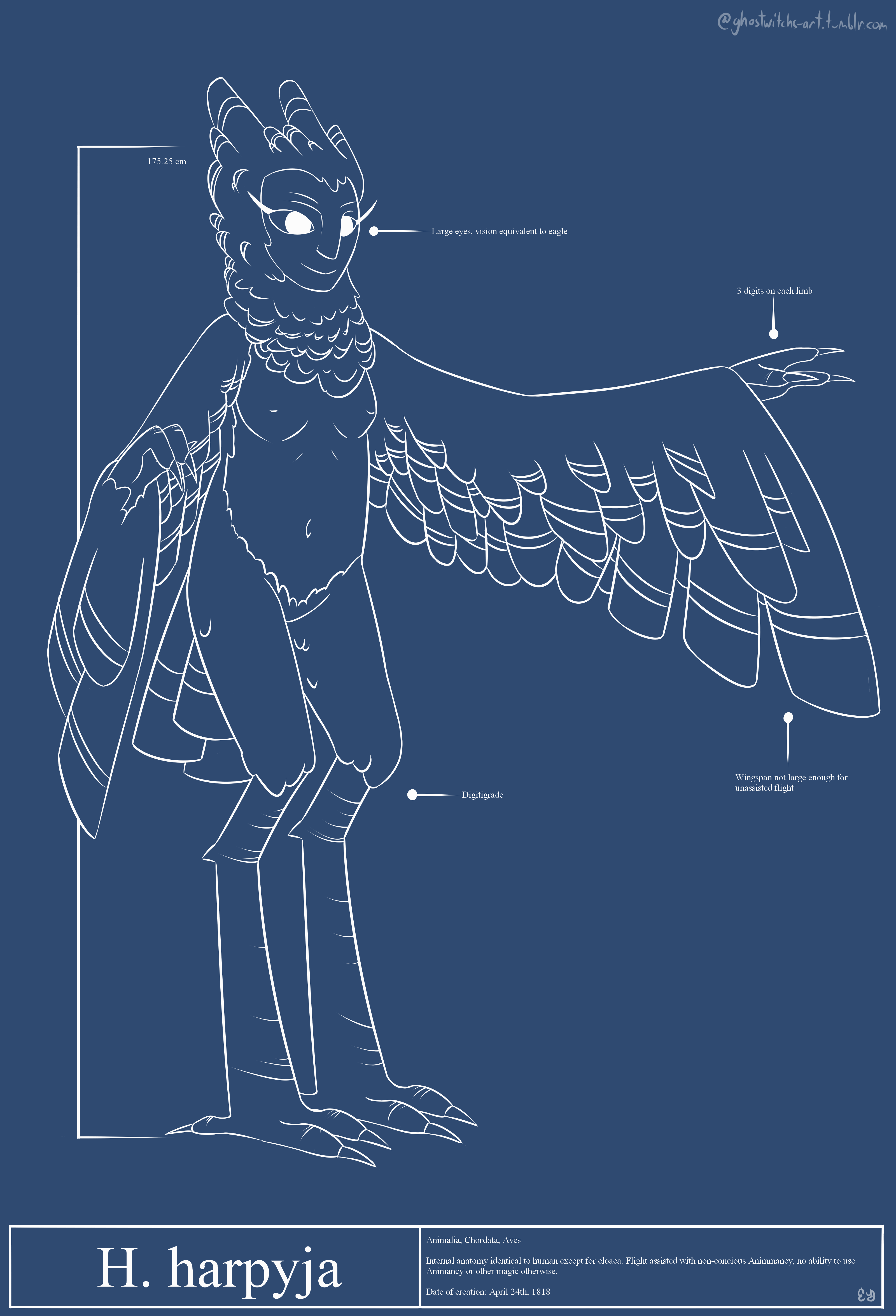 A drawing of Valentine stylized to look like a blueprint. Her species is listed as ''H. harpyja.''